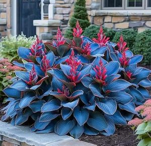 Хоста Грин Фог купить по цене от 669р. в интернет-магазине «Посадика» с доставкой почтой в в Судогдае и по всей России – [изображение №1].